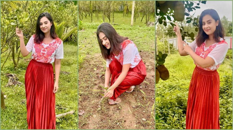 কৃষি কাজ করতে চান বুবলী, জানালেন কারণ...