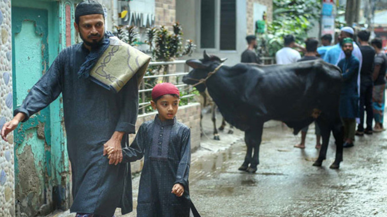 রাজধানীতে চলছে পশু কোরবানি...
