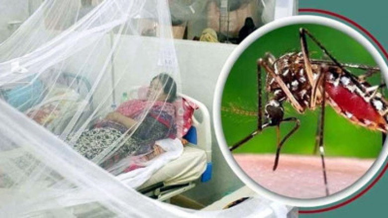 একদিনে ডেঙ্গু আক্রান্ত ২৪৯ , মৃত্যু একজনের...