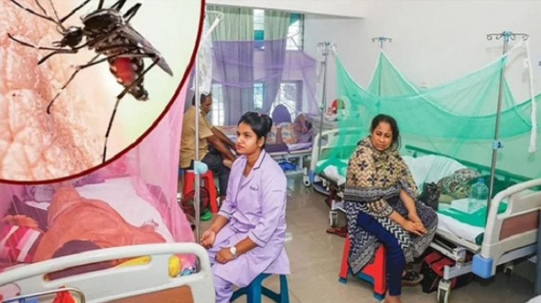 বছরের সর্বোচ্চ ডেঙ্গু রোগী শনাক্ত...