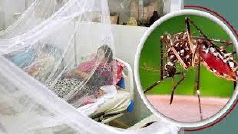 ডেঙ্গুতে আরও দুইজনের মৃত্যু, হাসপাতালে ভর্তি ৩৯২...