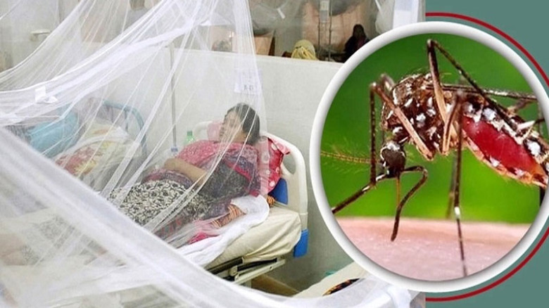 ডেঙ্গুতে আরও ২ জনের মৃত্যু, হাসপাতালে ভর্তি ৩২৬...