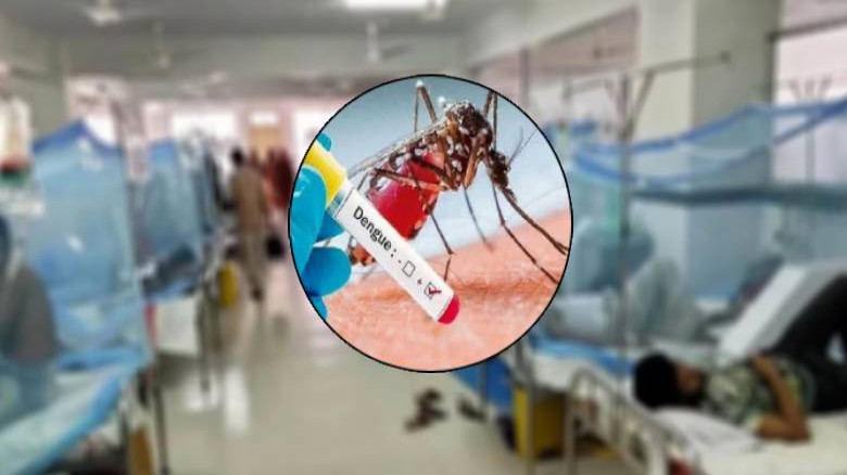 ডেঙ্গুতে একজনের মৃত্যু, হাসপাতালে ৩৮৩...
