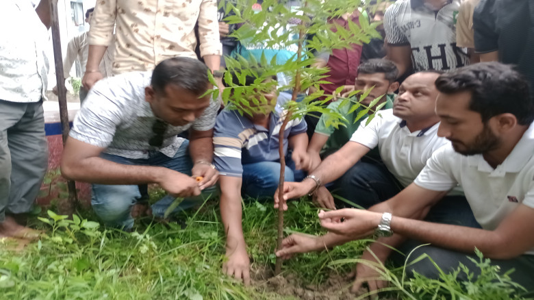 জুলাই শহীদদের স্মরণে ইবি ছাত্রদলের বৃক্ষরোপণ কর্মস...