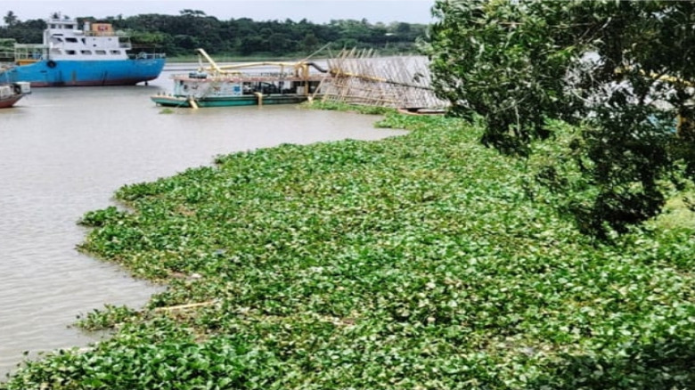 গাজীপুরে শীতলক্ষ্যায় কচুরিপানা থেকে মানব কঙ্কাল উদ...