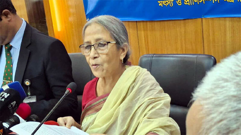 ইলিশের দাম বেশি হওয়ার যে কারণ জানালেন উপদেষ্টা...