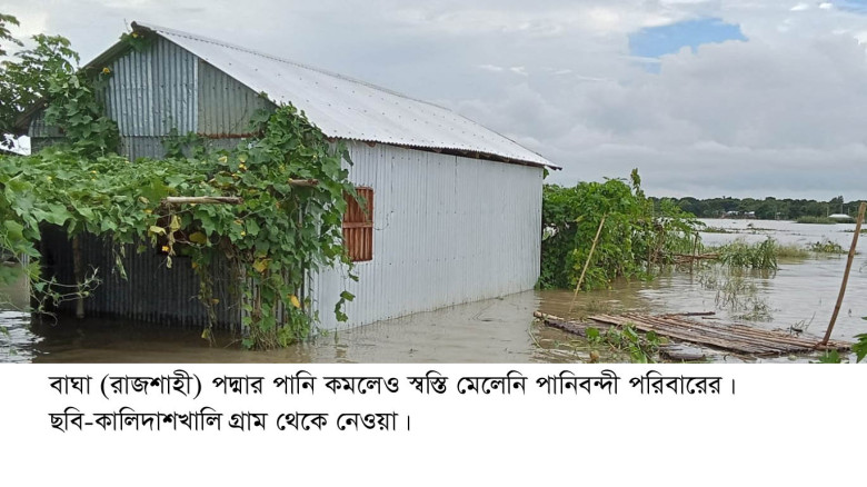 পদ্মার পানি কমলেও বৃষ্টিতে দুর্ভোগ বেড়েছে পানিবন্দ...