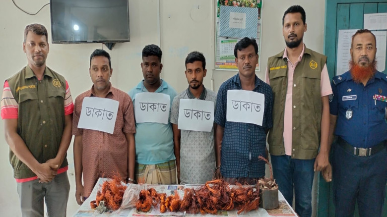 ঠাকুরগাঁওয়ে সিলিকা ফ্যাক্টরিতে ডাকাতি, গ্রেপ্তার ৬...