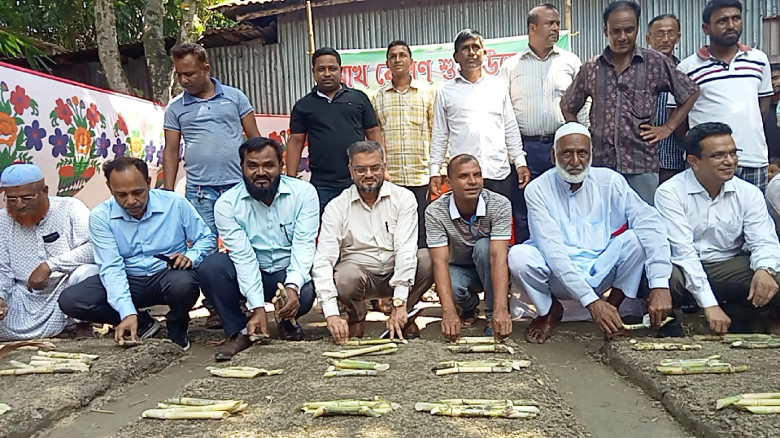 নাটোর চিনিকলে আখ রোপণ কার্যক্রমের উদ্বোধন...