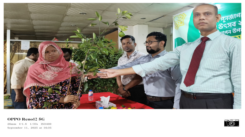 মৌলভীবাজারে ইসলামী ব্যাংকের বৃক্ষরোপণ কর্মসূচি...