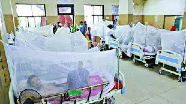 ডেঙ্গুতে মৃত্যুশূন্য দিনে হাসপাতালে ভর্তি ২৪৮...