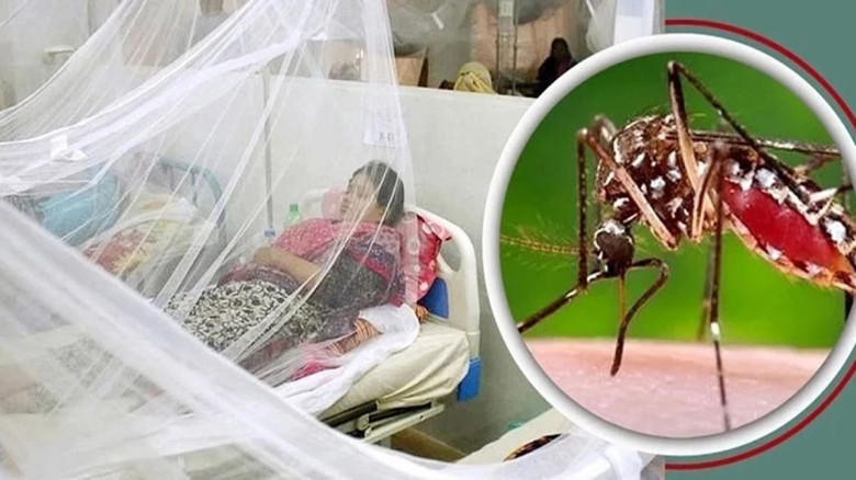 আরও ২ জনের মৃত্যু ডেঙ্গুতে , হাসপাতালে ভর্তি ৬৭৮...