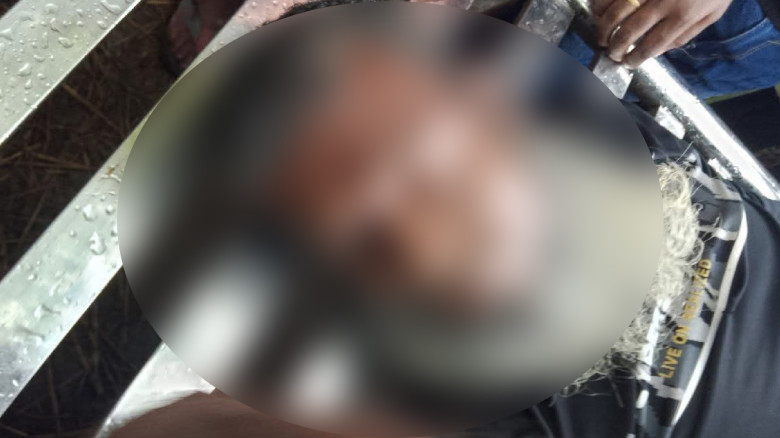 নওগাঁয় বজ্রপাতে বৃদ্ধের মৃত্যু...