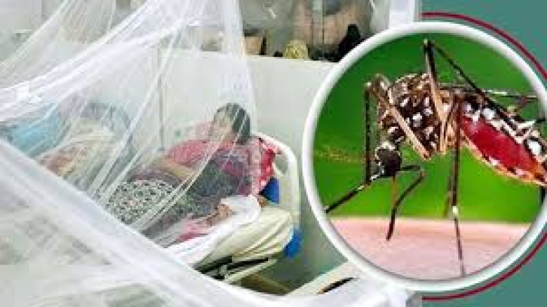 ডেঙ্গুতে ২৪ ঘণ্টায় ৯ জনের মৃত্যু...