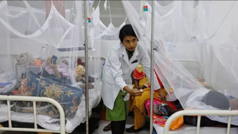 ২৪ ঘণ্টায় ডেঙ্গুতে আরও তিনজনের মৃত্যু, হাসপাতালে ভ...