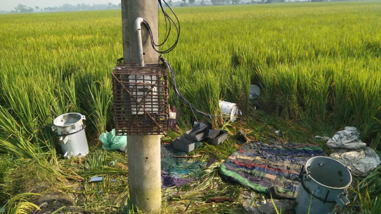 দুই নিরাপত্তাকর্মীকে বেঁধে ট্রান্সফরমারের তামার কয়...