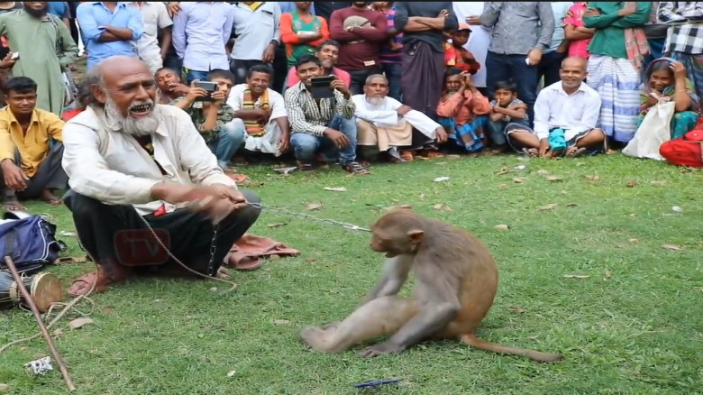 ডুগডুগির সুর থেমে গেছে- হারিয়ে যাচ্ছে বানরের খেলা...