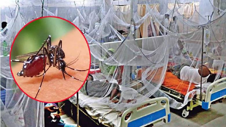 ডেঙ্গুতে আরও ৫ জনের মৃত্যু...