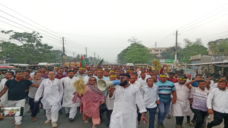 কালীগঞ্জে বিপ্লব ও সংহতি দিবসে র‌্যালি ও সমাবেশ অন...