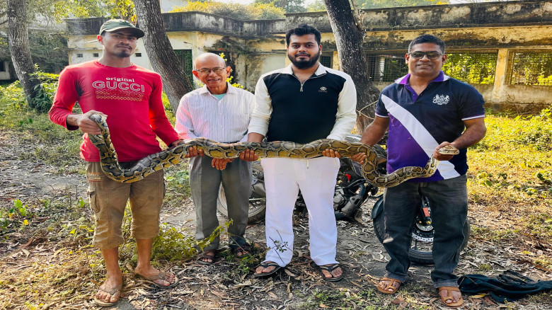 শ্রীমঙ্গলে ১২ ফুট দৈর্ঘ্যের অজগর উদ্ধার...