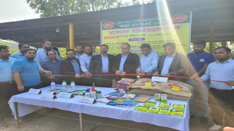 ফুলবাড়ীতে প্রাণ গ্রুপের বঙ্গ মিলাসে আমন ধান সংগ্রহ...