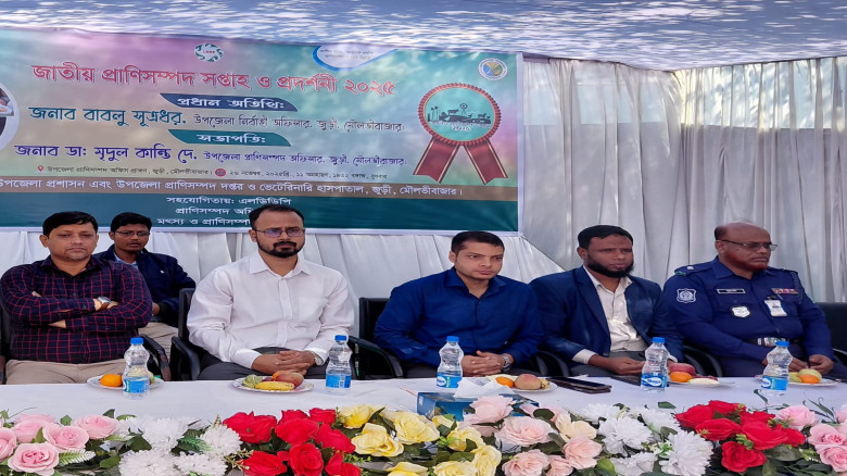 জুড়ীতে জাতীয় প্রাণিসম্পদ সপ্তাহ উপলক্ষে র‍্যালি ও...