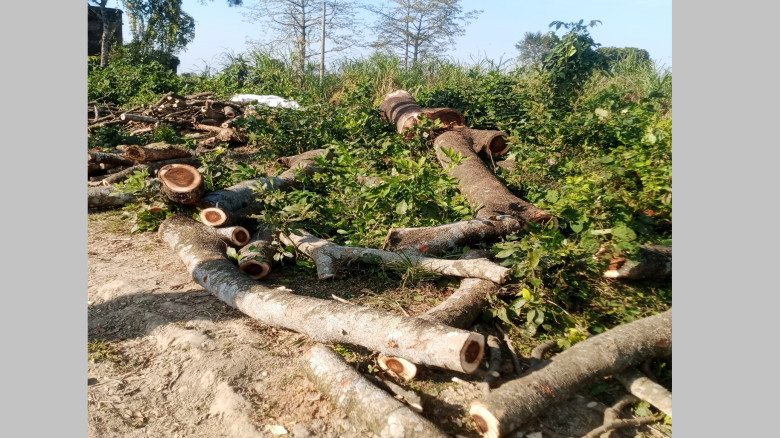 নর্থবেঙ্গল সুগার মিলের খামারে ‘ইরিগেশন প্রকল্পের’ ...