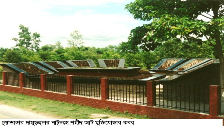 আজ চুয়াডাঙ্গা মুক্ত দিবস...