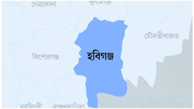 বাহুবলে ট্রাক চাপায় স্কুল শিক্ষক নিহত...