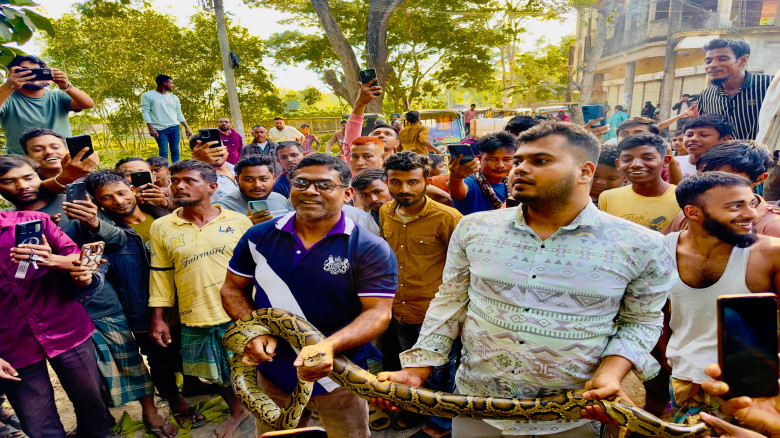 শ্রীমঙ্গলে ২৩ কেজি ওজনের অজগর উদ্ধার...