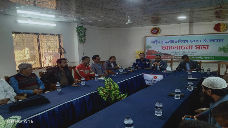 আমতলীতে শহীদ বুদ্ধিজীবি দিবস পালিত...