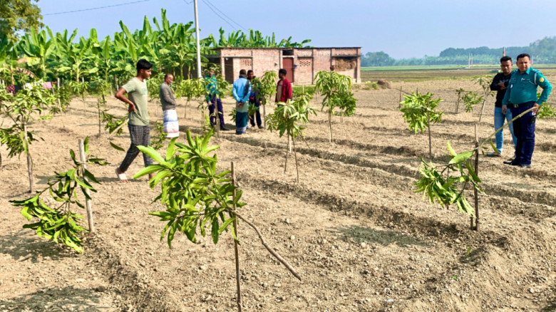 রাজশাহীতে কৃষকের স্বপ্ন কেটে দিল দুর্বৃত্তরা...