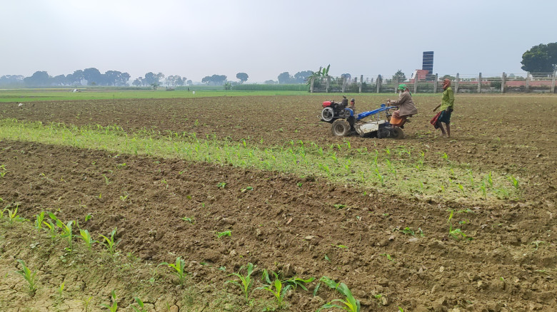গাংনীতে শরিকানা জমি নিয়ে বিরোধের জেরে আড়াই বিঘা ভু...
