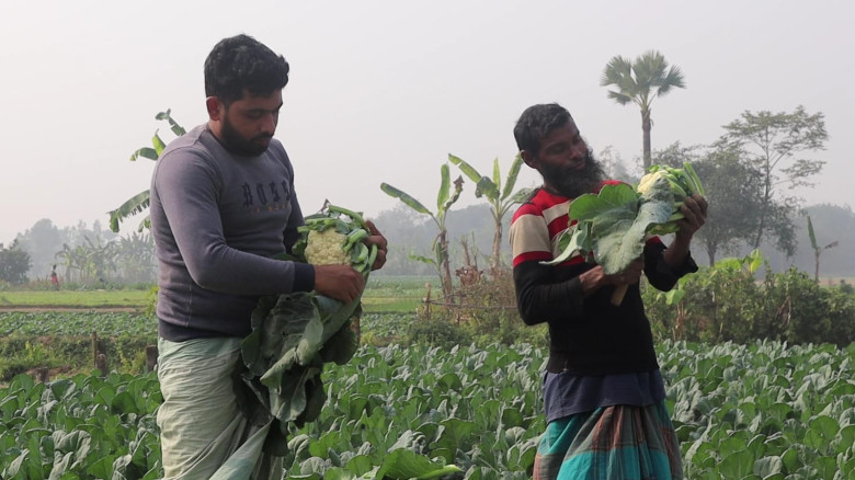 লাভবান হচ্ছে মধ্যস্বত্তভোগীরা' নওগাঁয় সবজির দামে চ...