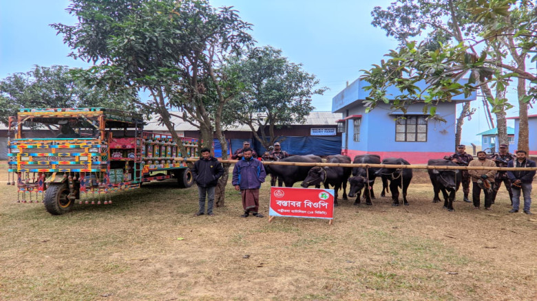 নওগাঁর সীমান্তে ০৫টি ভারতীয় মহিষসহ চোরাকারবারী আটক...