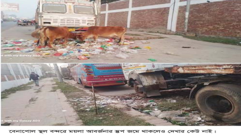 বেনাপোল পৌরসভা এলাকা ময়লার ভাগাড়ে পরিণত, ডেঙ্গুর ঝ...