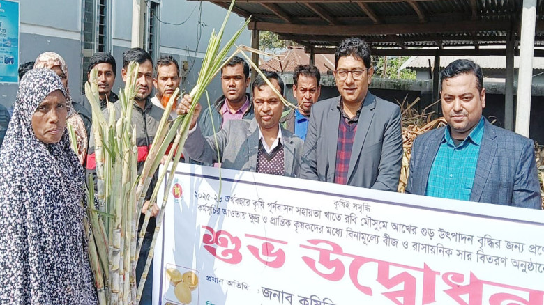 কালিয়ায় কৃষকদের মাঝে বিনামূল্যে আখের বীজ ও সার বিত...