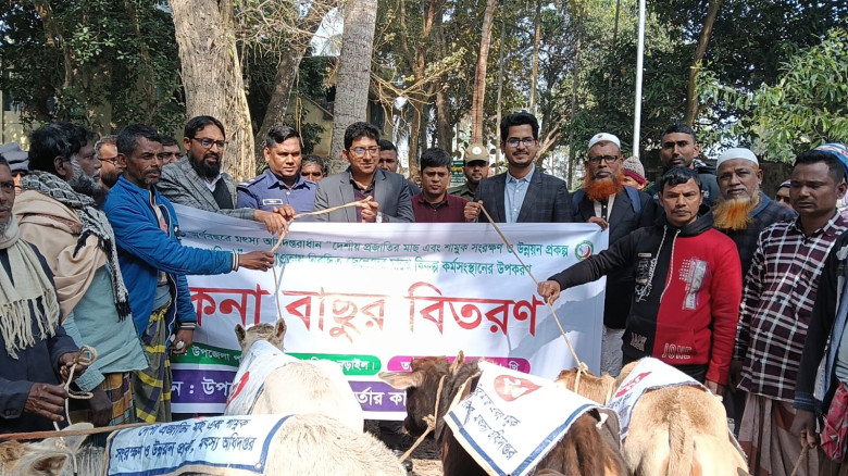কালিয়ায় ৬০ জেলের মাঝে বকনা বাছুর বিতরণ...