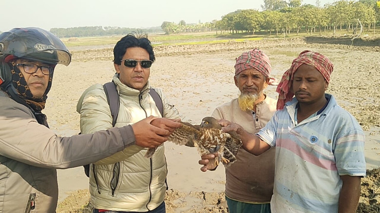 বাগাতিপাড়ায় কারেন্ট জালে পাখি শিকার, অবৈধ শিকার বন...