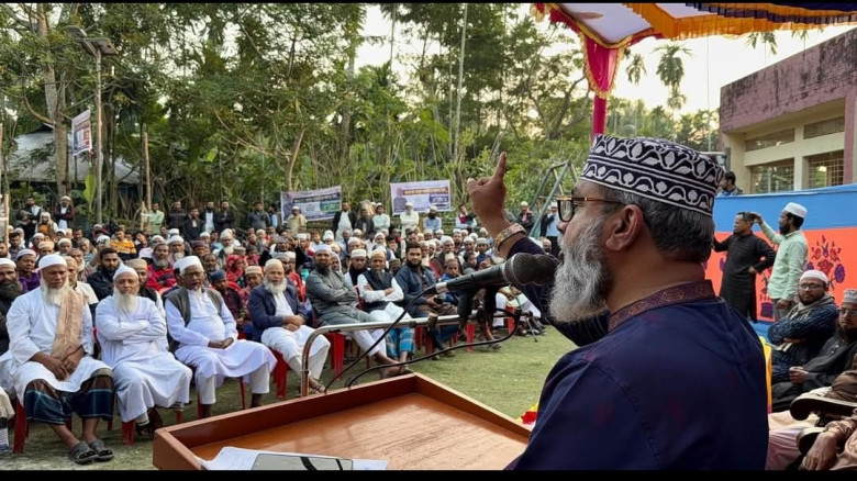 পিরোজপুর-১  জোটের রাজনীতি থেকে একক লড়াই; সাঈদী পুত...