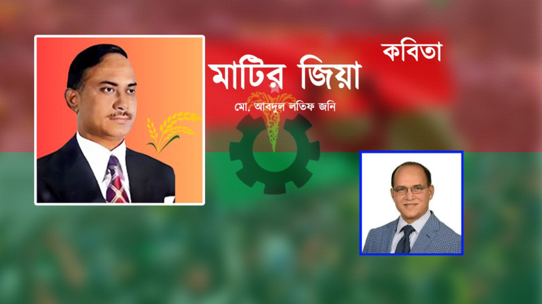 মাটির জিয়া