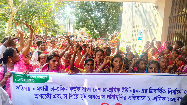 চা শ্রমিক ইউনিয়নের নির্বাচন ঘিরে সংকট, শ্রীমঙ্গলে ...