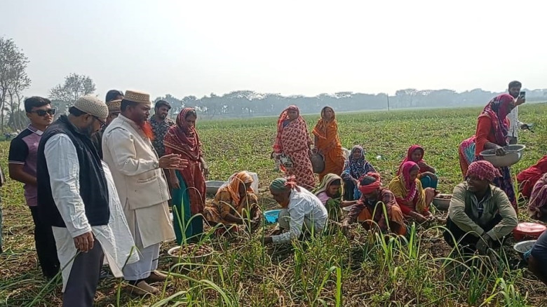 ন্যায় ও সততার পক্ষে, ইনসাফের পক্ষে আপনারা ভোট দিন...