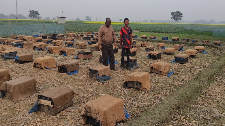 রাণীশংকৈলে মধু সংগ্রহে ব্যস্ত মৌয়ালিরা...