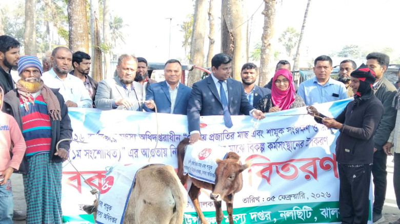 নলছিটিতে জেলেদের মা‌ঝে বকনা বাছুর বিতরণ...
