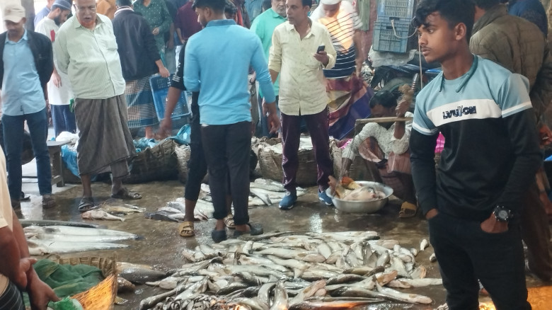 আবারো জমজমাট  মোহনগঞ্জ মাছের আড়ত...