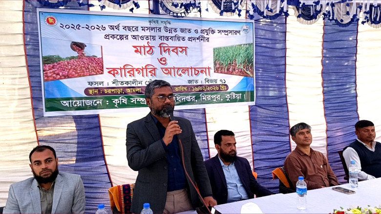 মিরপুরে শীতকালীন পেঁয়াজ ‘বিজয়-৭১’ প্রদর্শনীতে মাঠ ...