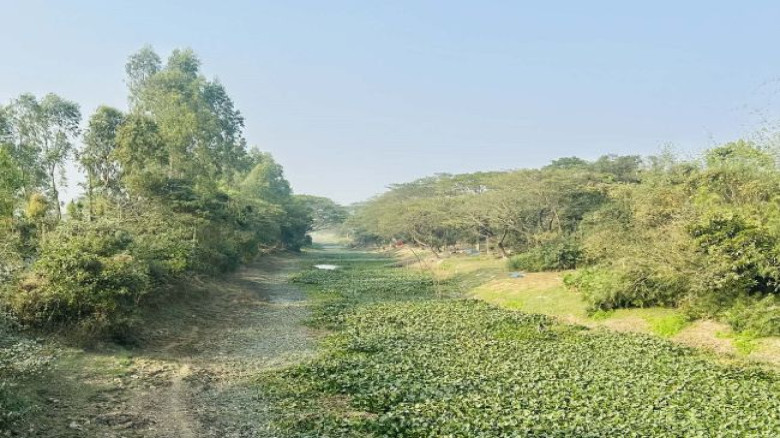 বানিয়াচংয়ে পানি সংকটে বোরো ধান চাষ নিয়ে সংঙ্কায় প্...