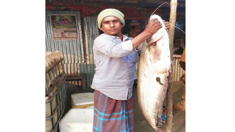 নাসিরনগরে জেলের বরশিতে ধরা পড়েছে সাড়ে ৯ কেজি ওজনের...