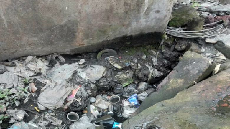 মশার উপদ্রবে অতিষ্ঠ ইসলামপুর পৌরবাসী...